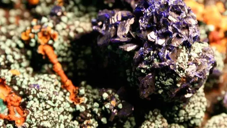 Close-up of colourful mineral specimens showing purple crystalline formations and orange and grey-green lichen or mineral deposits.