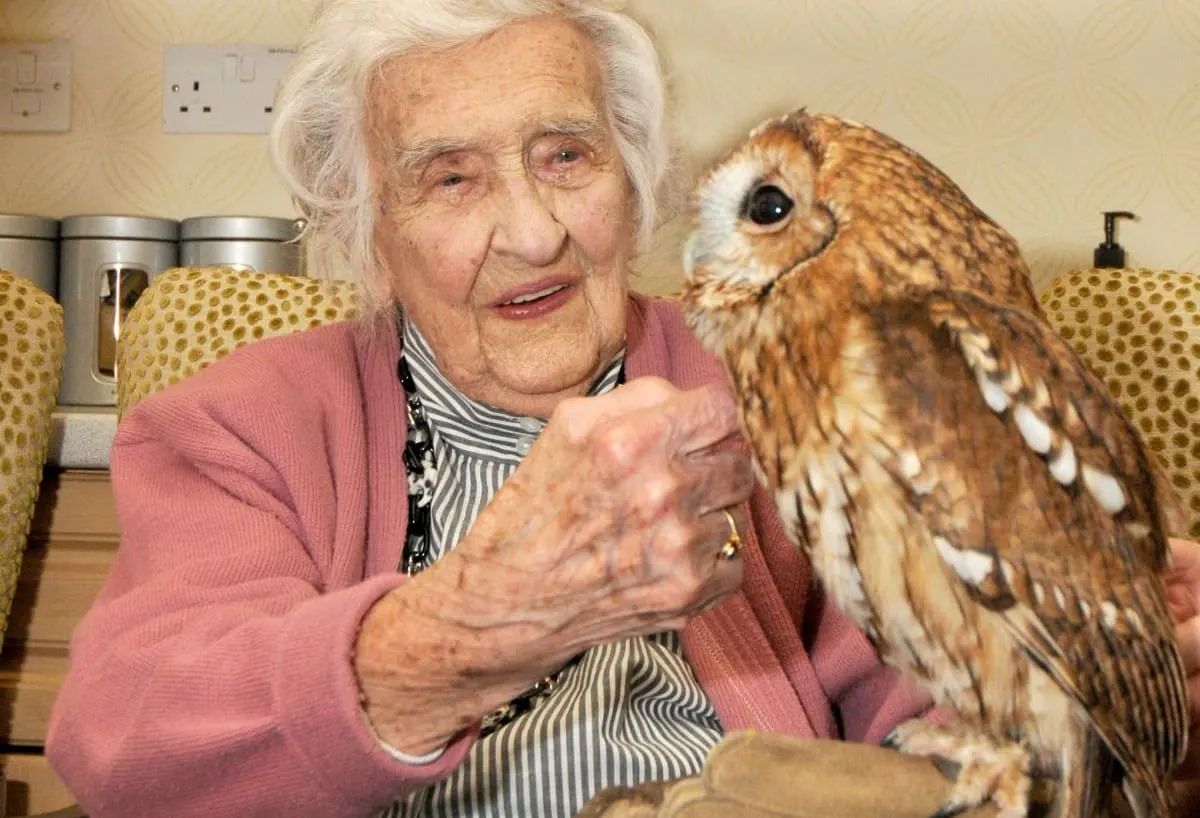 An elderly woman in a pink cardigan holds a small brown and white owl indoors.