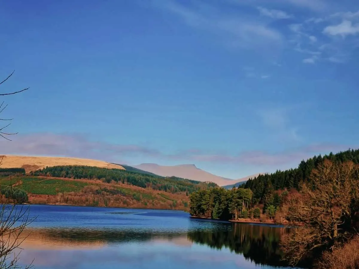 A still loch surrounded by forested hills and mountains under clear blue sky.