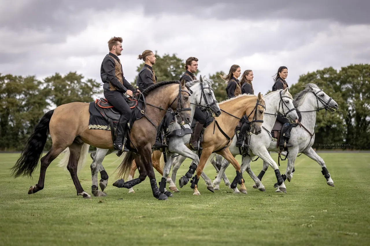 Six riders in formal black jackets riding horses across a grassy field with trees in the background.