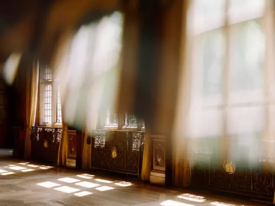 Sunlight streams through tall windows onto wooden panels and ornate doors in an elegant interior space.