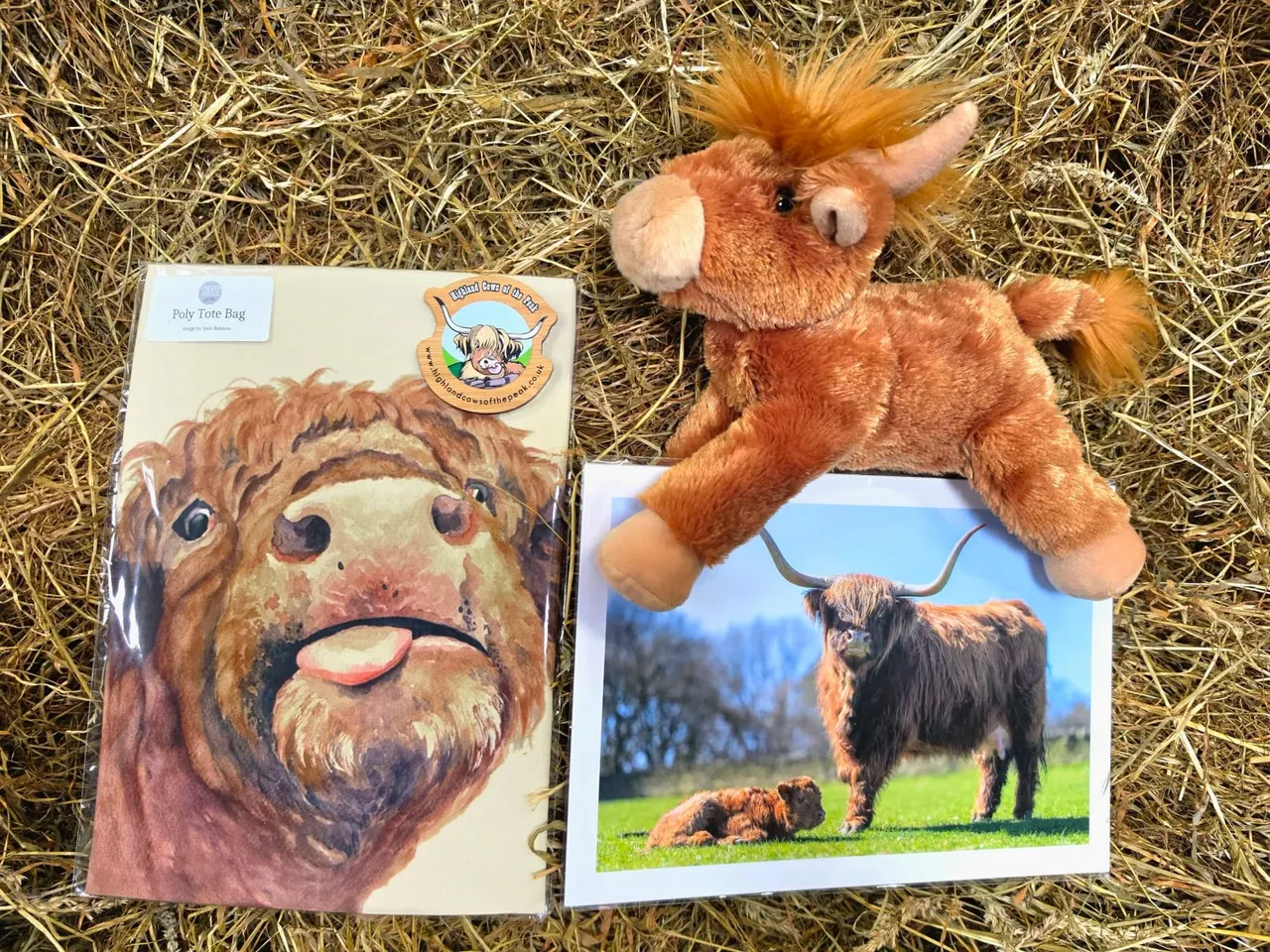 Plush toy Highland cow, merchandise bag, and photograph displayed on straw at a farm venue.