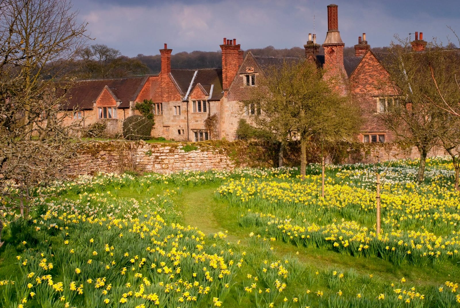 Felley Priory Garden