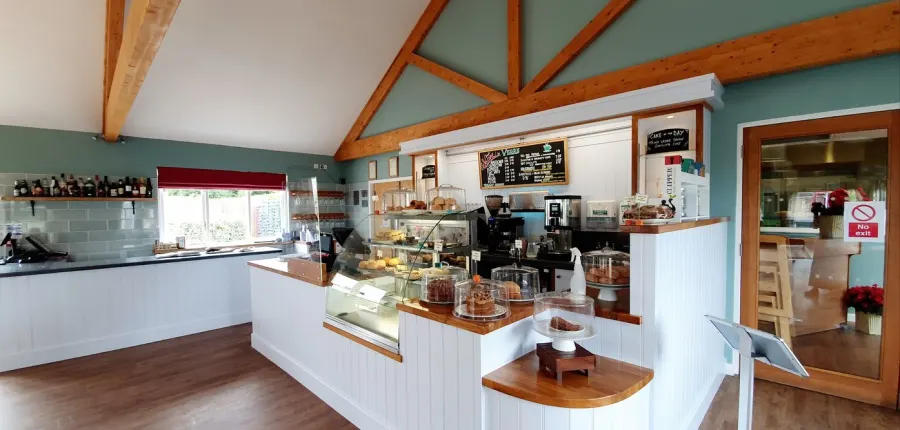 Interior of a café with white counter, wooden beams, teal walls and a serving area with coffee equipment and display cases.