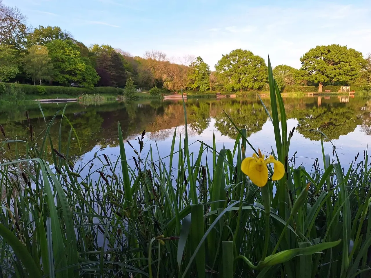 Lakes, Reservoirs & Riversides in Bristol