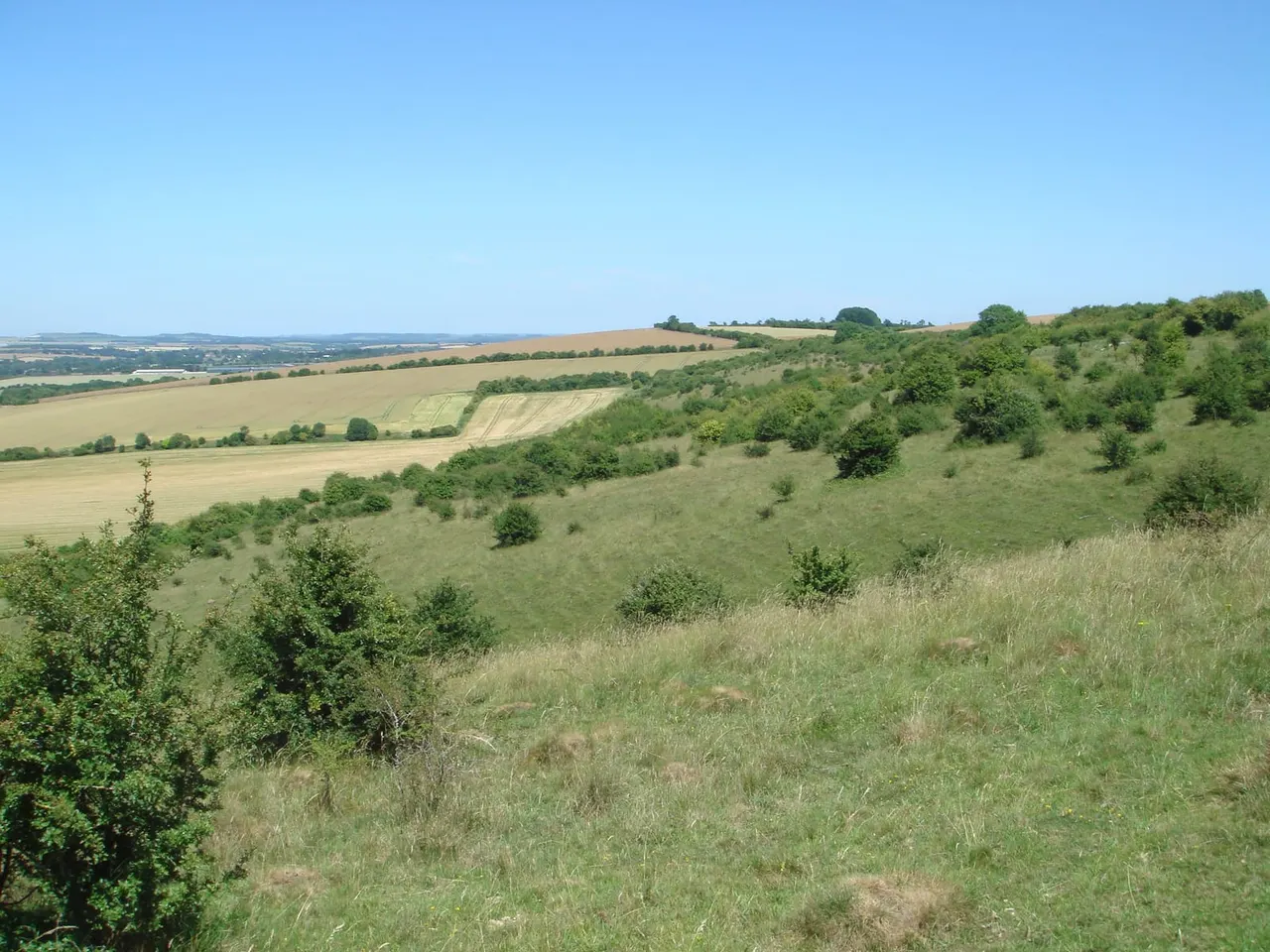 Rolling countryside with green fields, scattered trees and woodland under clear blue sky.