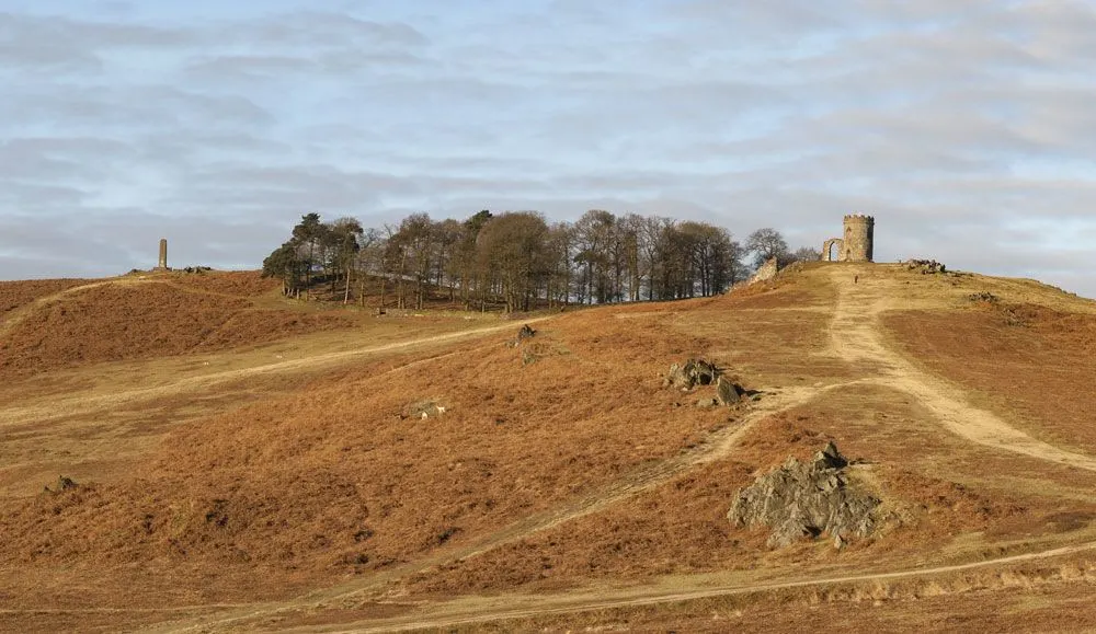 Bradgate Park deer and parkland