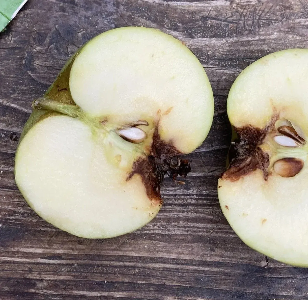 Cross-sections of apples with pale flesh and brown seeds displayed on a dark wooden surface.