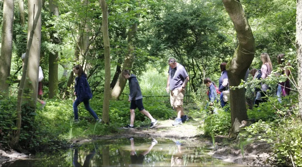 A group of visitors walking along a woodland trail beside a small stream among tall trees.