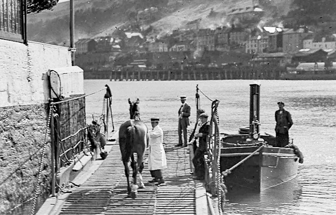A horse is led onto a wooden dock by handlers whilst workers stand nearby with moored boats and hillside buildings visible beyond.