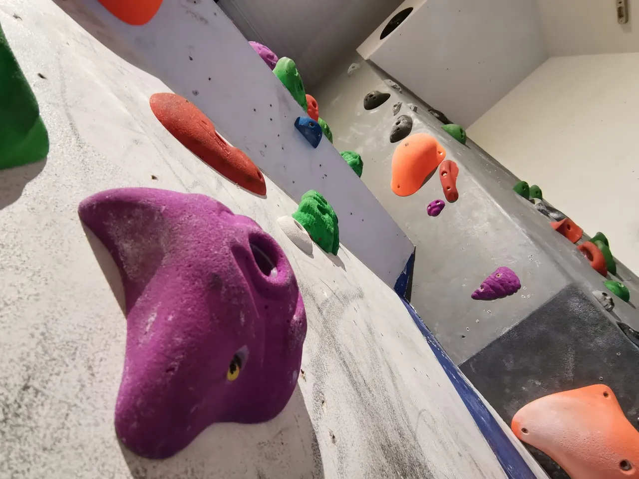 Colourful climbing holds of various shapes and sizes attached to indoor rock climbing walls.