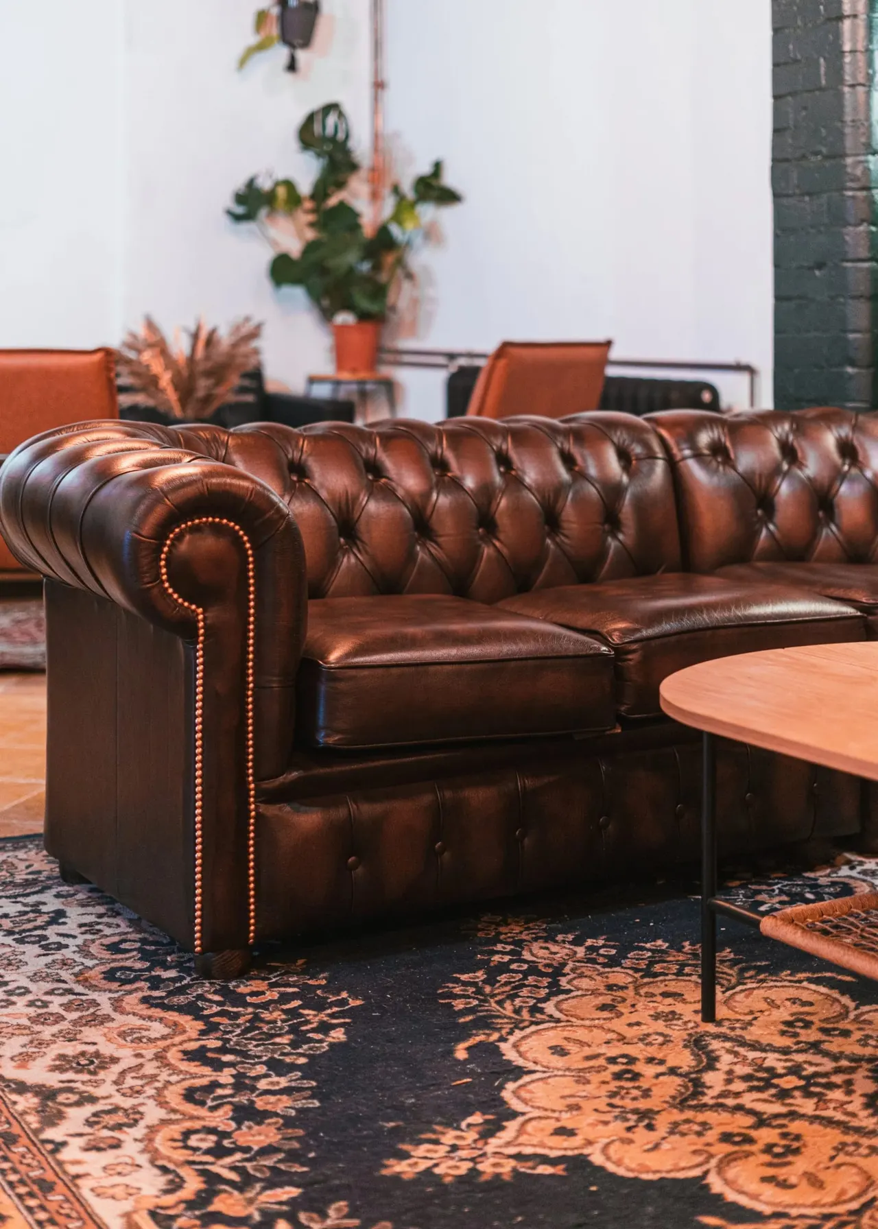 Brown leather Chesterfield sofa in a lounge area with potted plants and wooden table visible in the background.