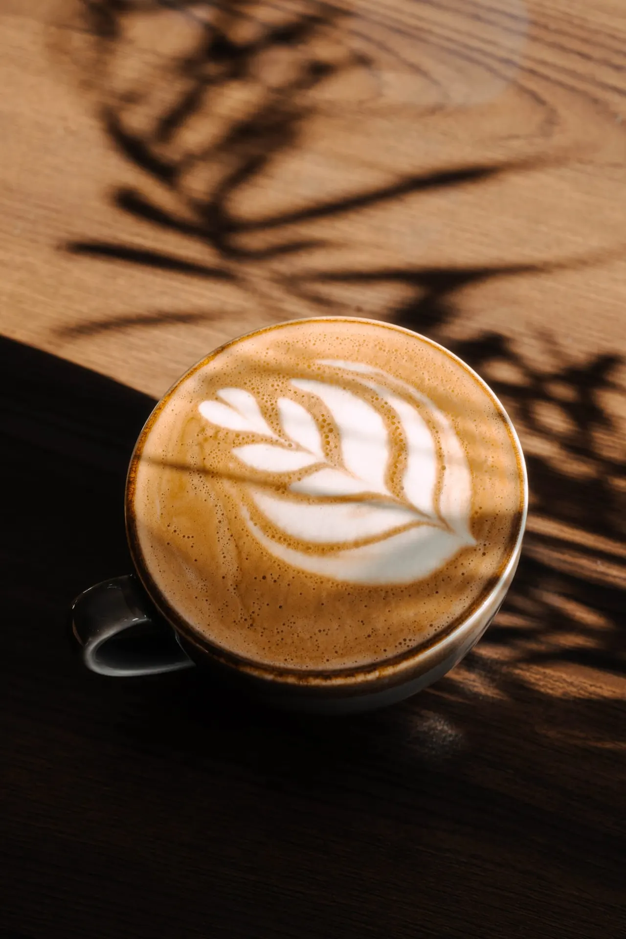 Cup of cappuccino with leaf latte art on a wooden table with dappled sunlight.