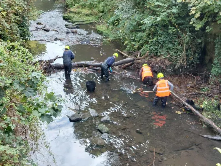 Workers in high-visibility clothing clear a fallen log from a woodland stream surrounded by dense green vegetation.