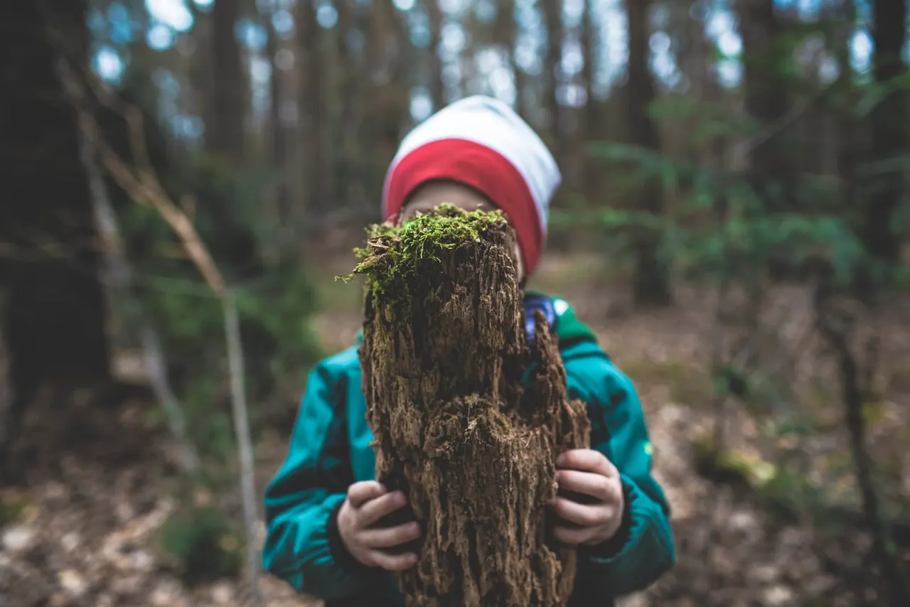 Forest School & Outdoor Learning in Kingston upon Thames