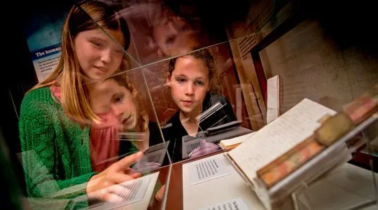 Three children looking at display materials in a museum exhibition case.
