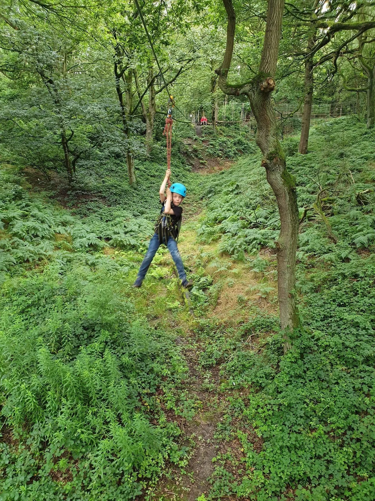 A child wearing a blue helmet zip-lines through a wooded valley with lush green vegetation.
