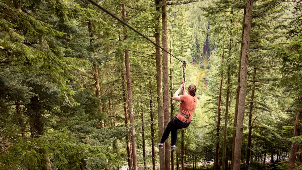 Person ziplining through a dense forest canopy on a rope course among tall trees.