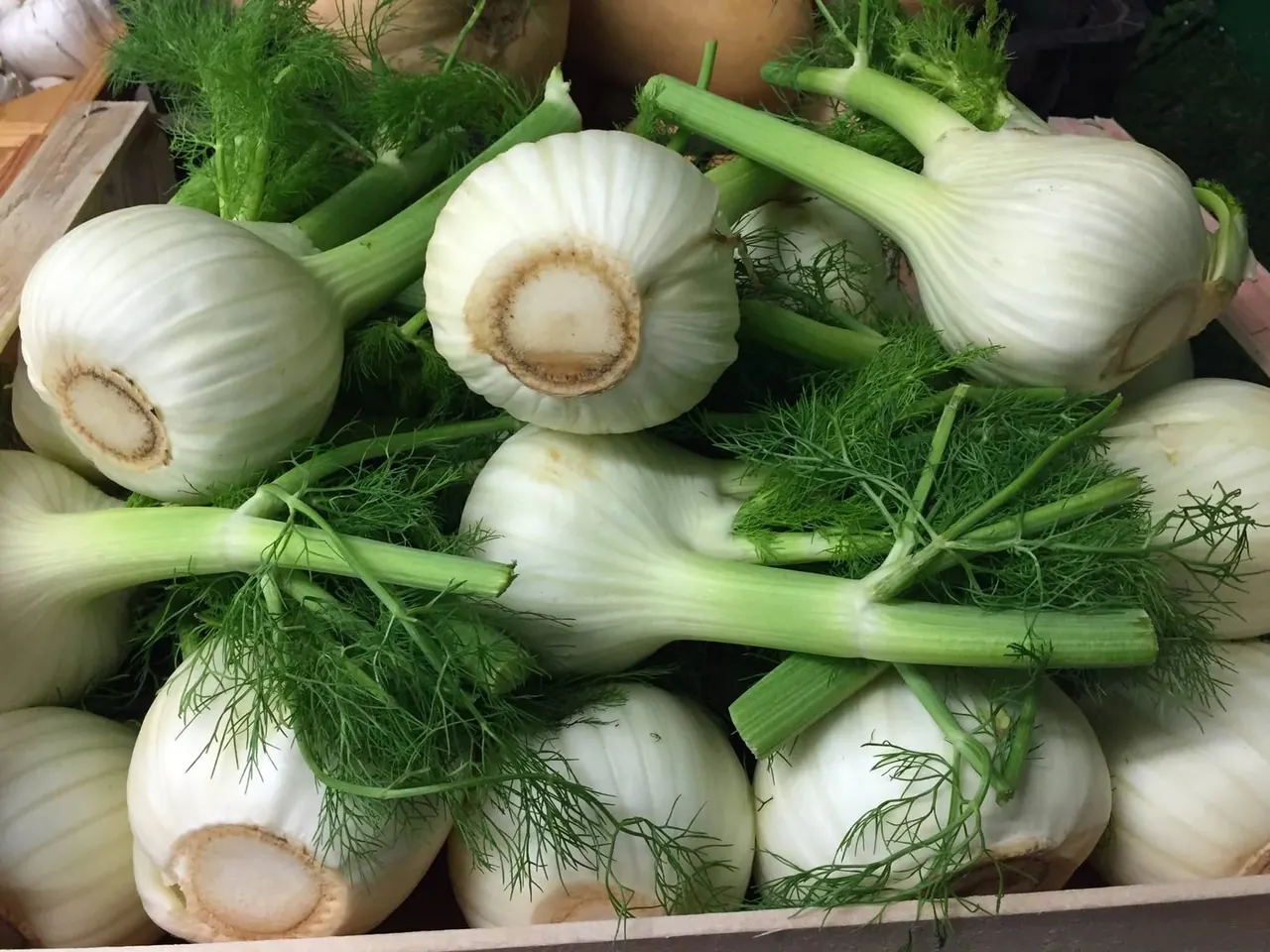 Fresh fennel bulbs with green fronds displayed at a farm shop.