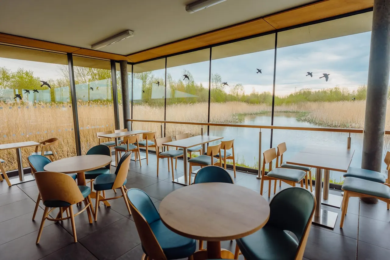 A modern indoor viewing space with wooden tables and chairs overlooking a wetland landscape with water, reeds, trees, and birds in flight.