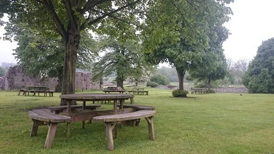 Picnic tables scattered across a grassy park beneath mature trees on a misty day.