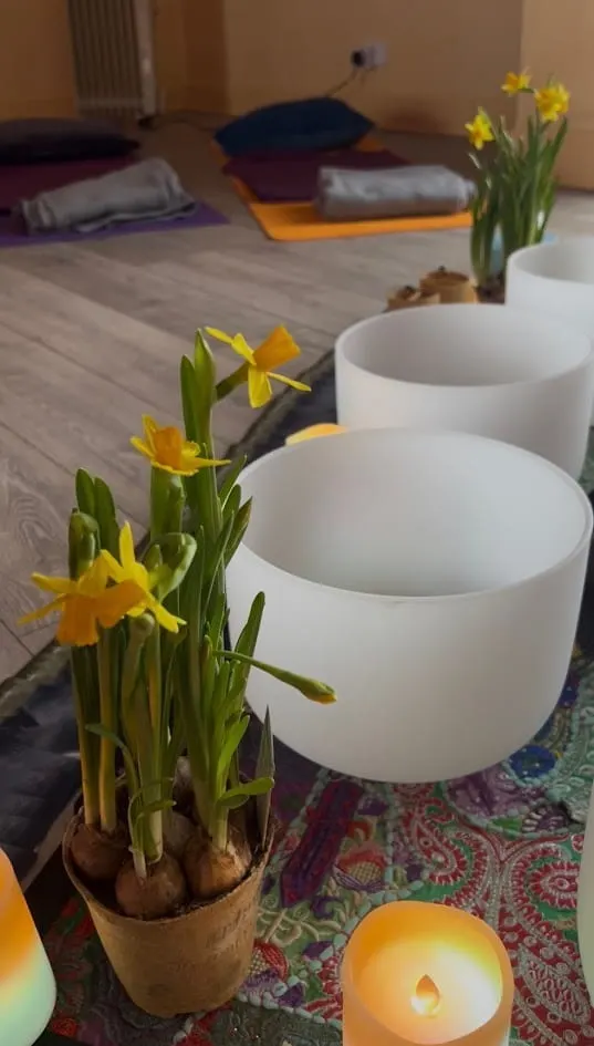 White bowls and potted daffodils arranged on a wooden floor in a yoga or wellness studio space.