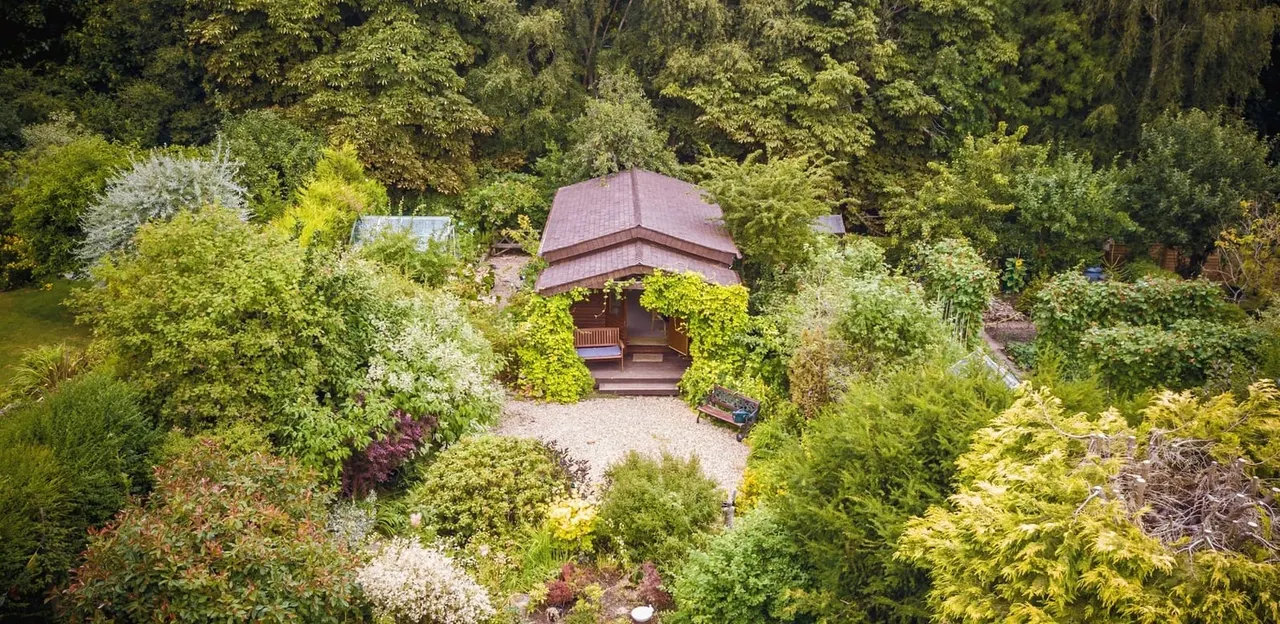 Wooden pavilion with purple roof nestled among lush green shrubs and trees in a garden setting.
