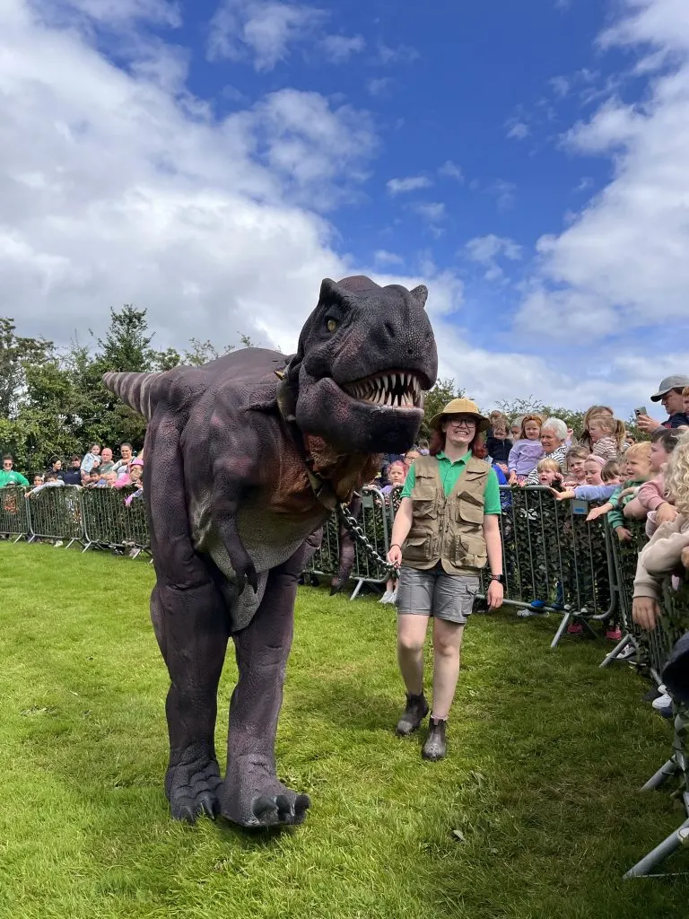 A handler in khaki uniform walks alongside a large animatronic dinosaur on a grass field whilst spectators watch from behind barriers.