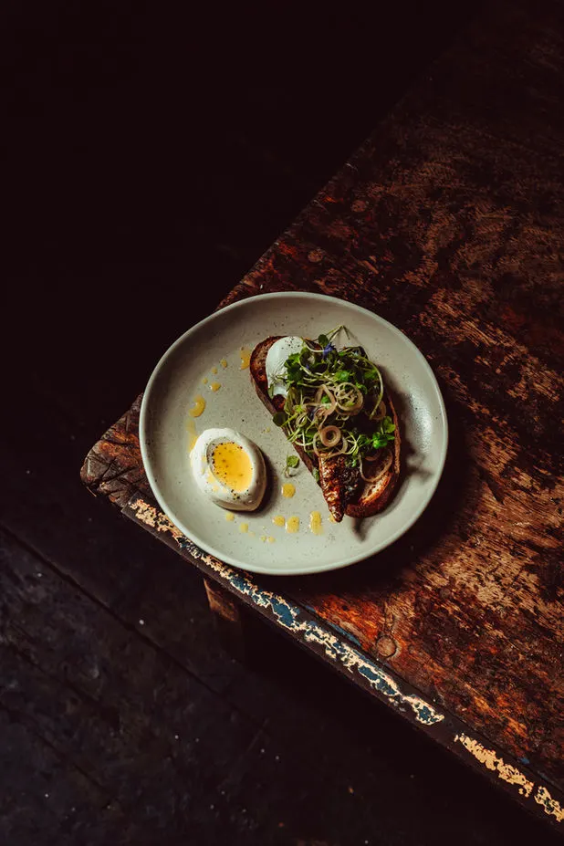 Plated avocado toast with a soft-boiled egg and microgreens on a rustic wooden surface.
