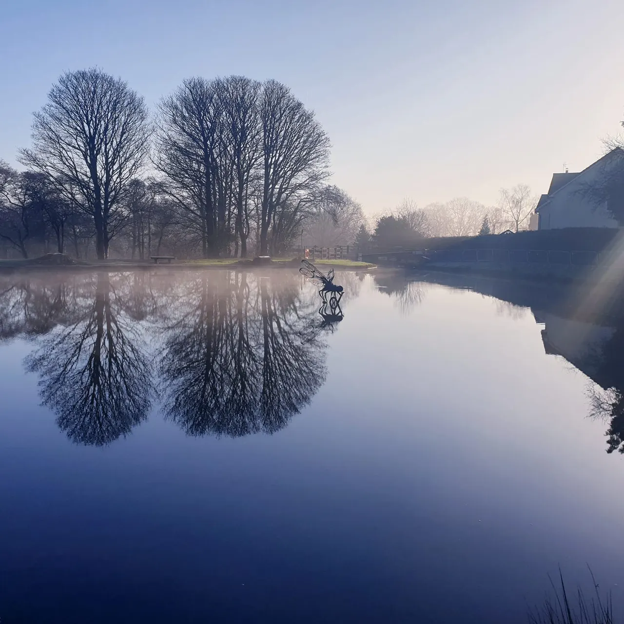 Person cycling along towpath beside calm canal with bare trees reflected in water.
