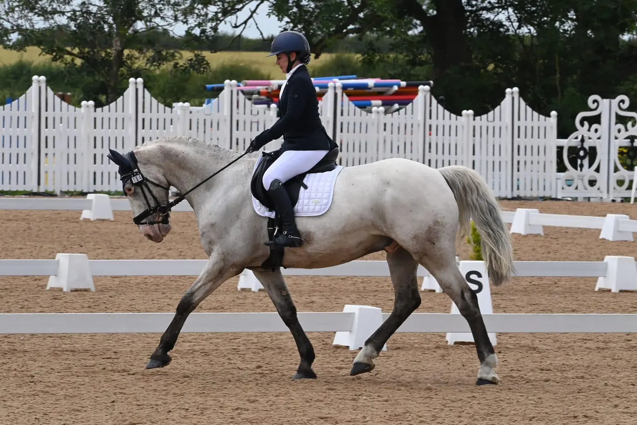 Rider in black jacket and helmet on grey horse performing dressage in sand arena with white fencing.