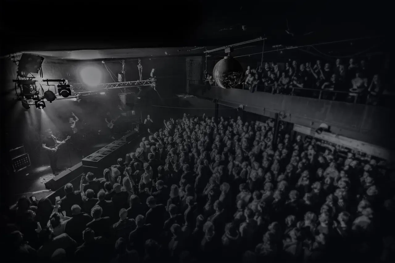 Large crowd watching a live music performance on an indoor stage with professional lighting and staging.