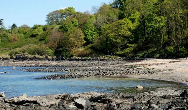 Rocky beach with shallow blue water and dense woodland along the shoreline on a clear day.