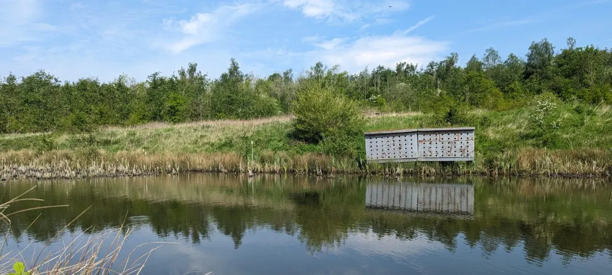 A metal observation hide sits beside a calm waterway bordered by reeds, with woodland and grassland beyond under a partly cloudy sky.