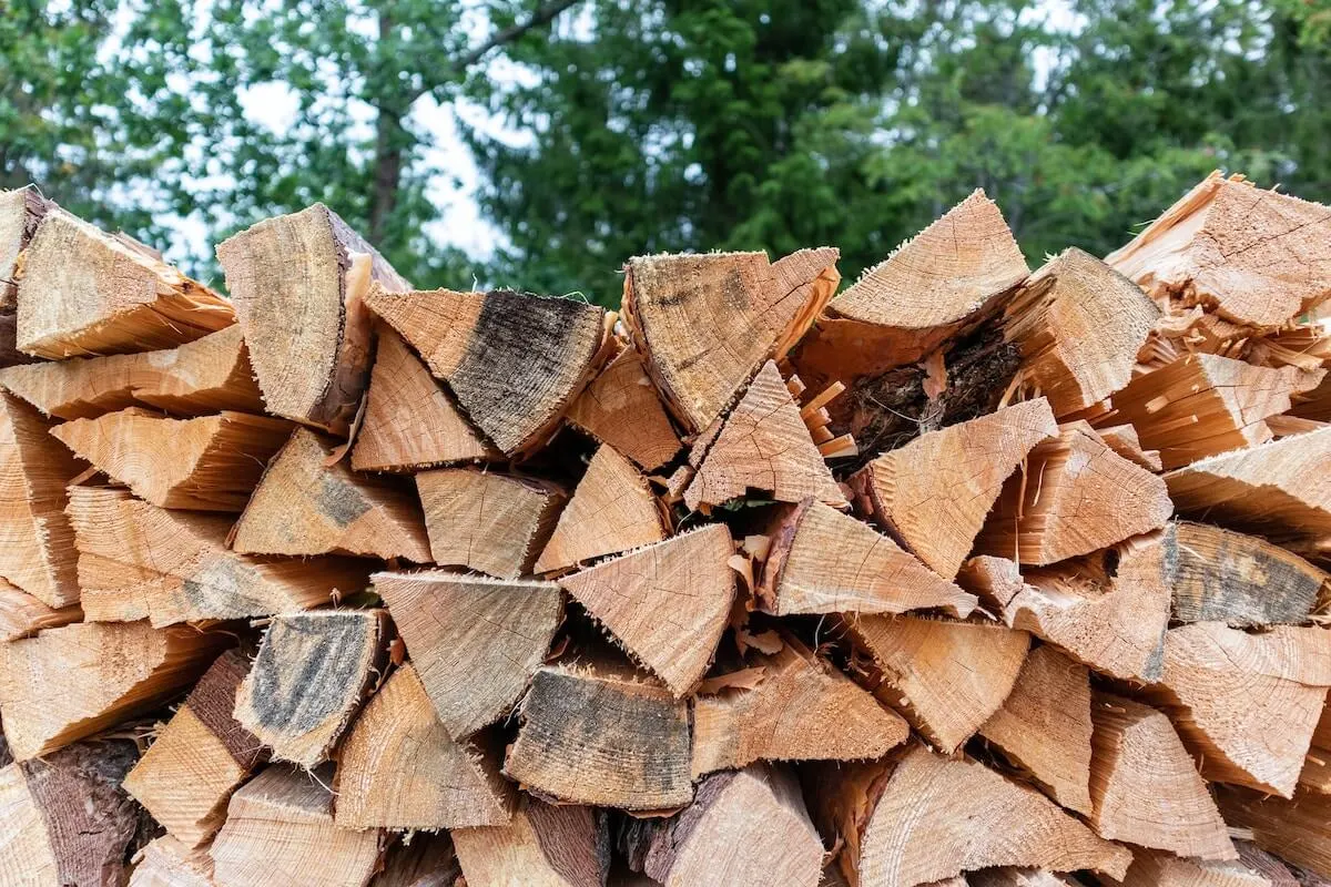 Pile of split firewood logs stacked outdoors with trees in the background.