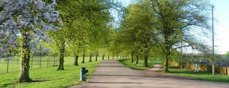 Tree-lined avenue with green grass on either side and a tarmac path running through the centre.