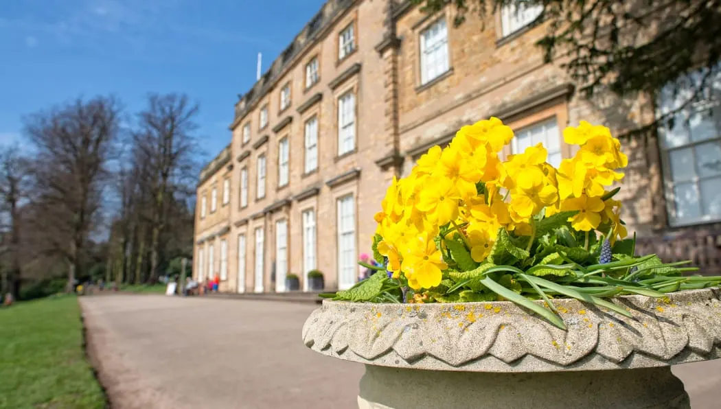 Yellow flowers in a stone planter with a grand historic house and manicured grounds in the background.