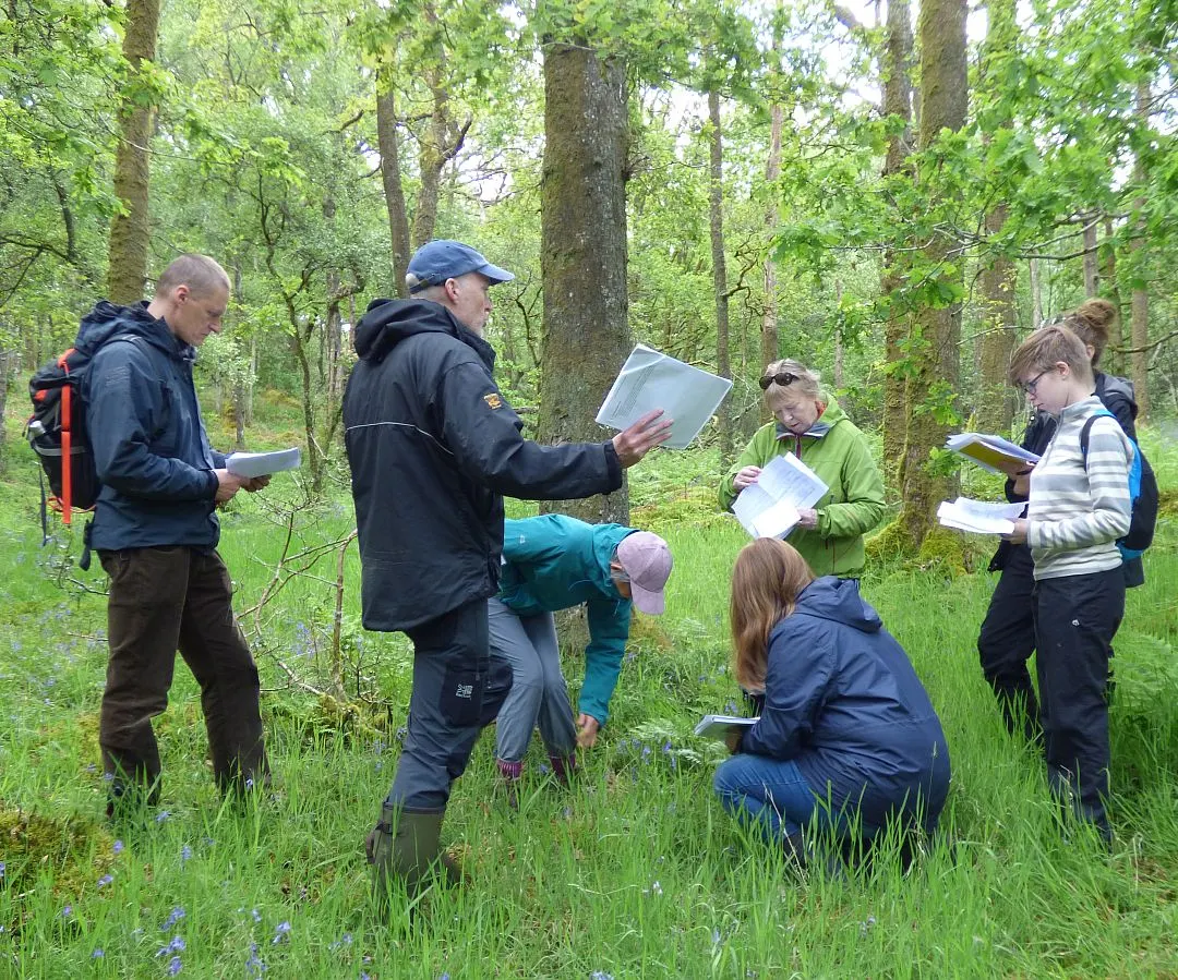 A group of visitors on a woodland walk studying maps and information sheets amongst tall trees and grassland.