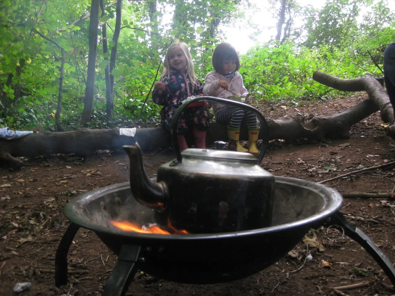 Two young children sit on logs around a fire pit with a kettle heating over flames in a woodland setting.