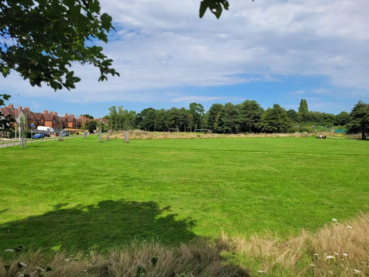 Spacious green playing field with brick buildings on the left, trees and woodland beyond, under a partly cloudy sky.