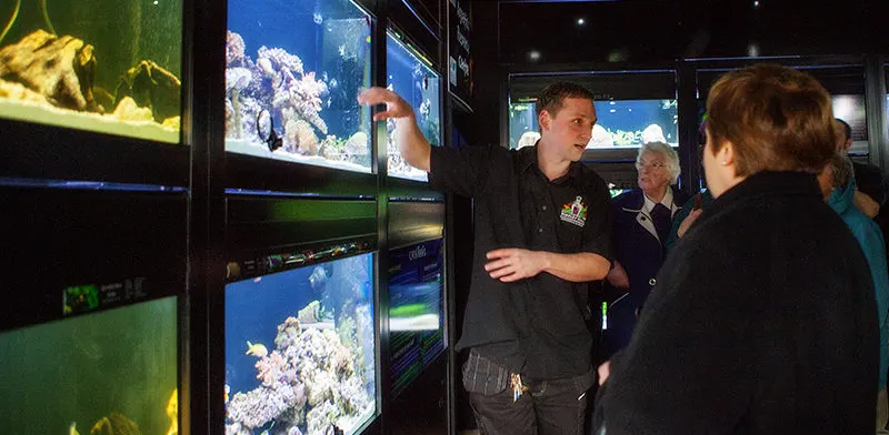 A staff member gestures whilst speaking to visitors beside illuminated aquarium tanks displaying coral and marine life.