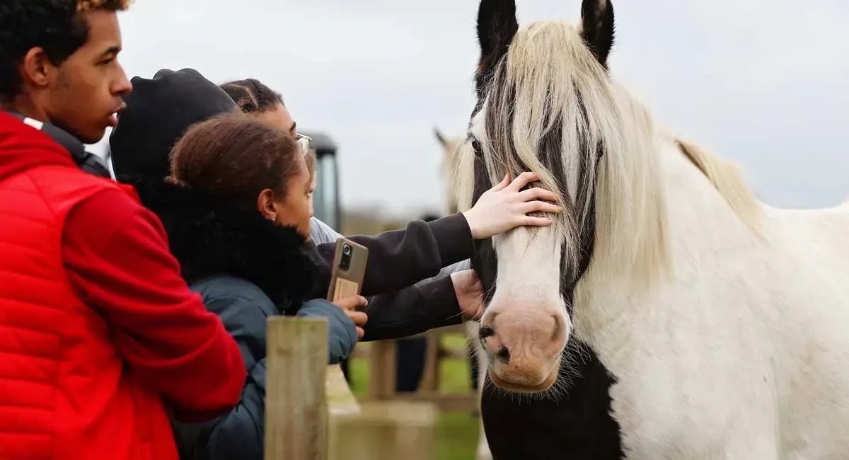 A child in a black jacket reaches out to touch a horse with a white face and grey mane whilst being held by an adult in a red jacket.