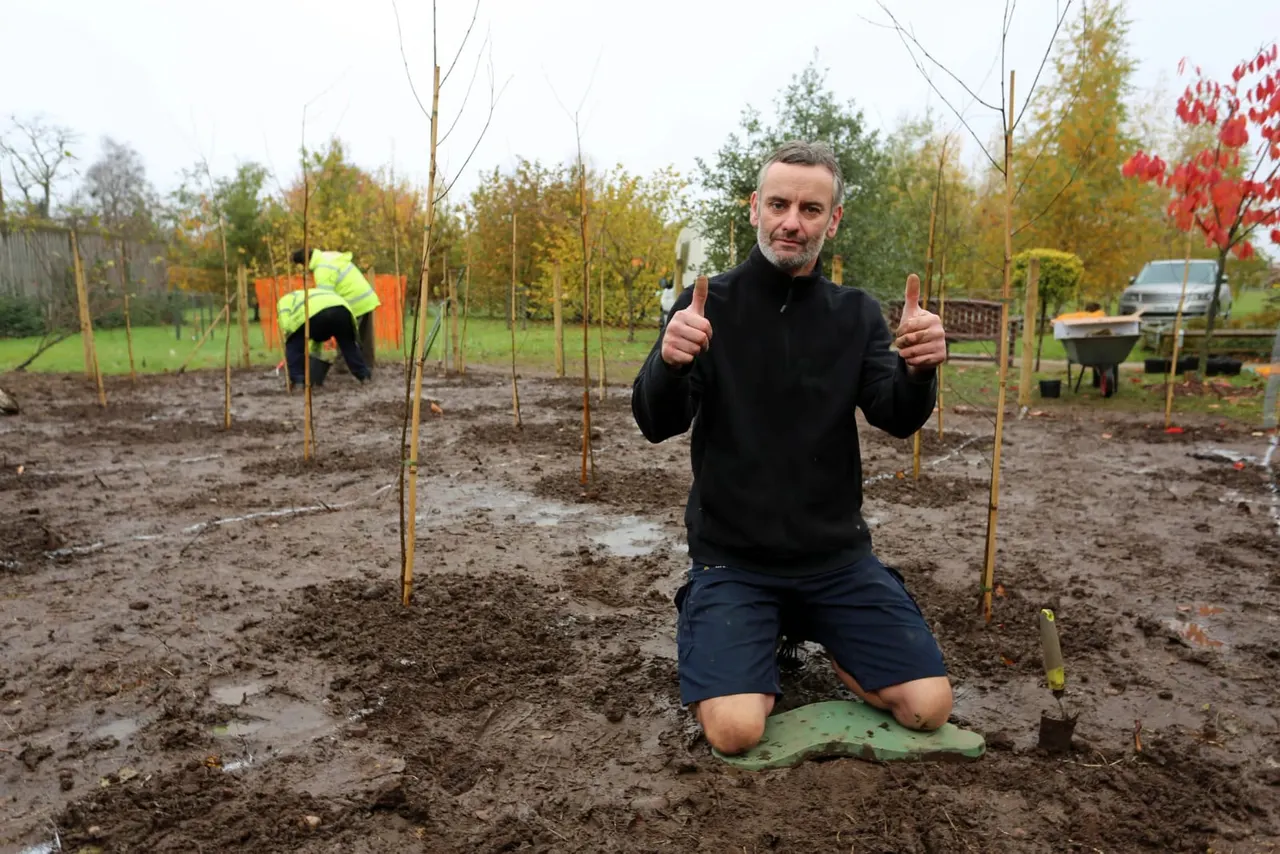 Man giving thumbs up whilst kneeling in a muddy tree planting area with newly planted saplings and other volunteers working in the background.