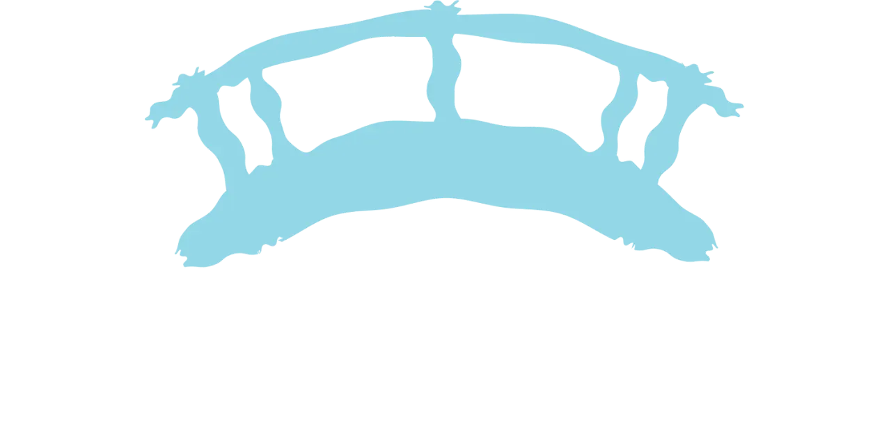 Pool Bridge Farm - Wild Swimming & Wellbeing