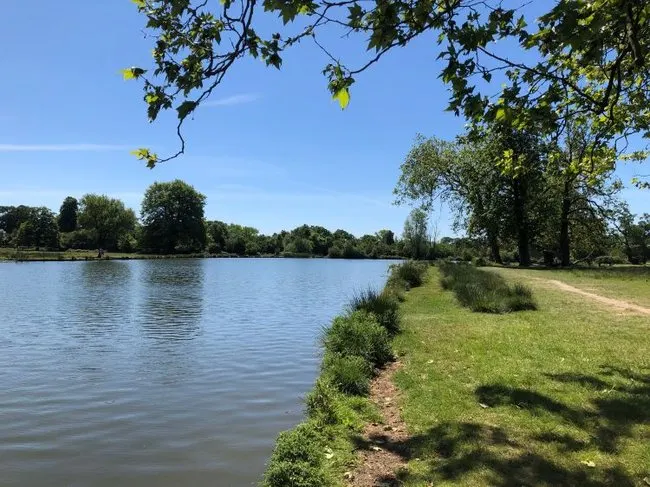 A lake with grassy banks framed by overhanging tree branches under blue sky.