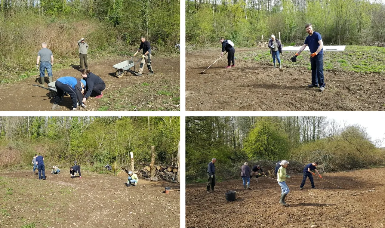 Country Parks & Nature Reserves in Cardiff