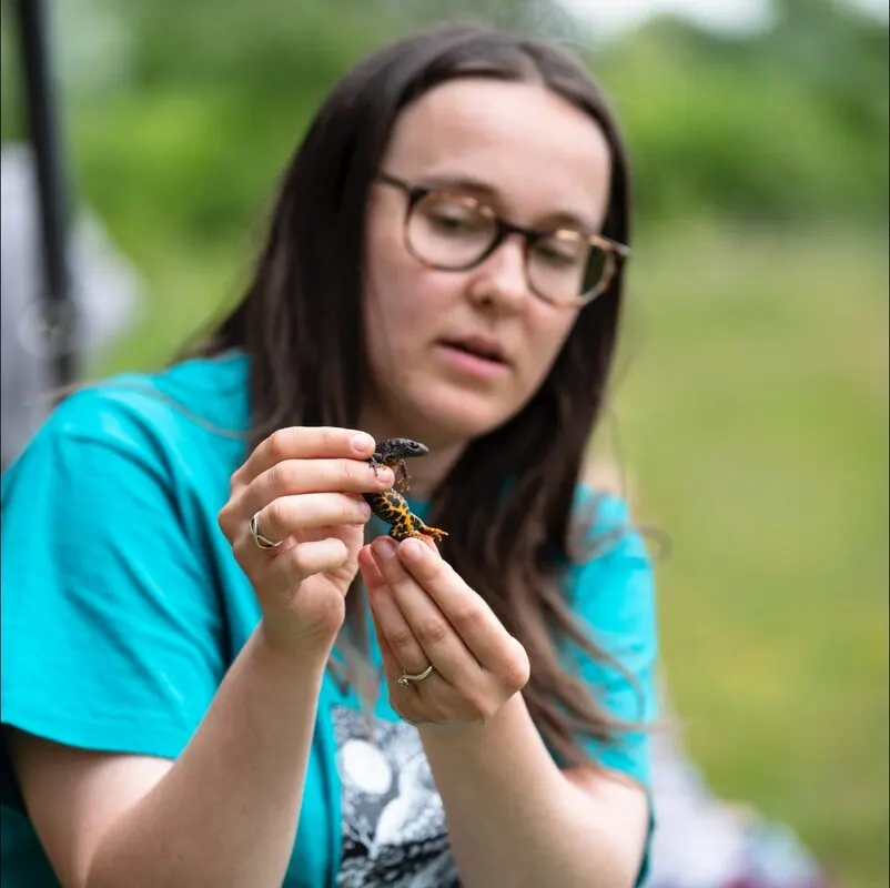 Woman in blue shirt holding a small amphibian in her hands outdoors, examining it closely.