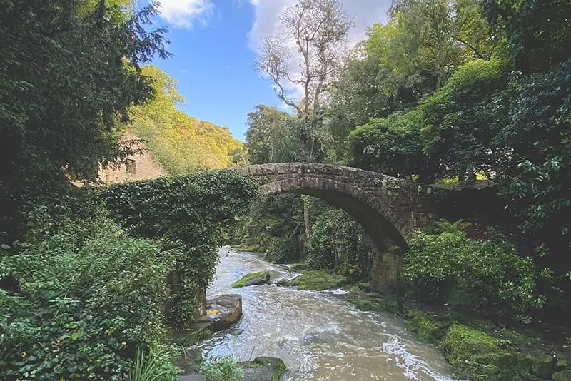 Stone bridge spanning a woodland stream surrounded by dense green vegetation and trees.