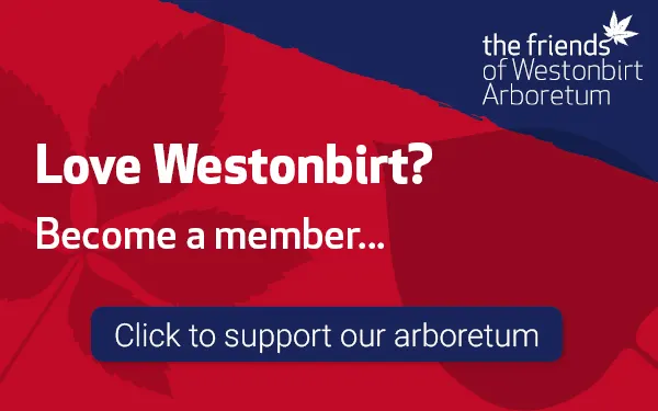 Westonbirt, The National Arboretum