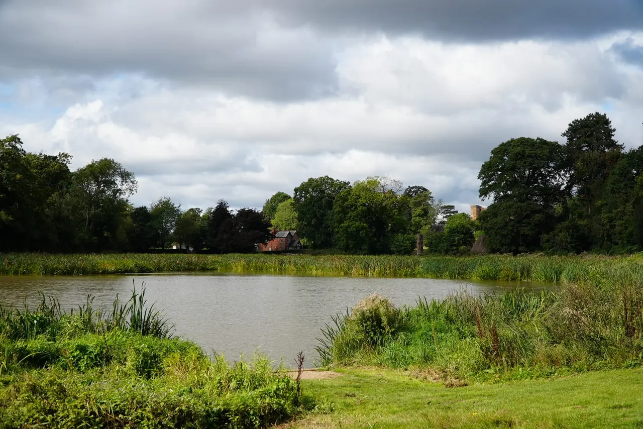 Tranquil lake surrounded by reeds and grassland with historic buildings and trees visible across the water under cloudy sky.
